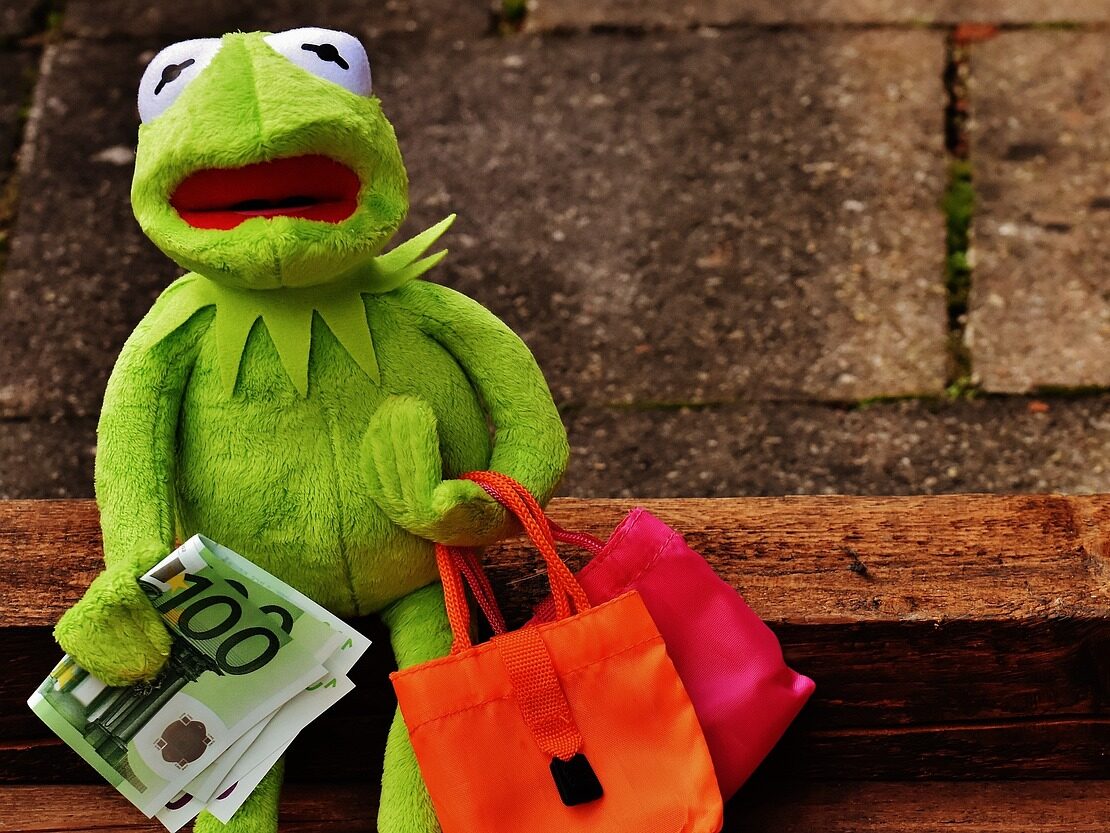 An image of a Kermit the frog puppet holding money and shopping bags, looking shocked about the idea of reducing consumption